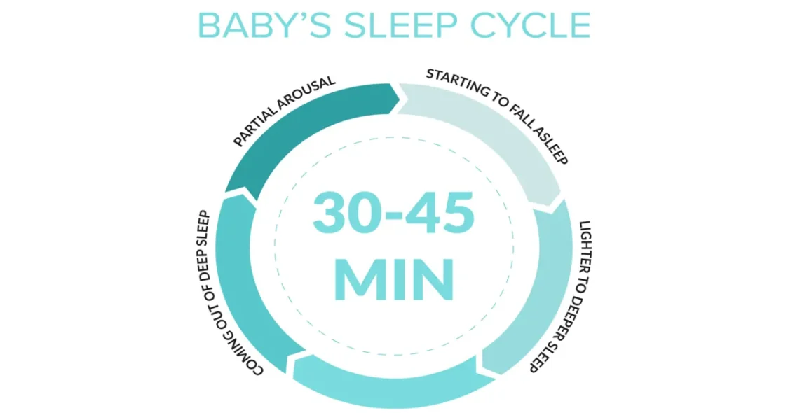 Navigating the Newborn Sleep Cycle