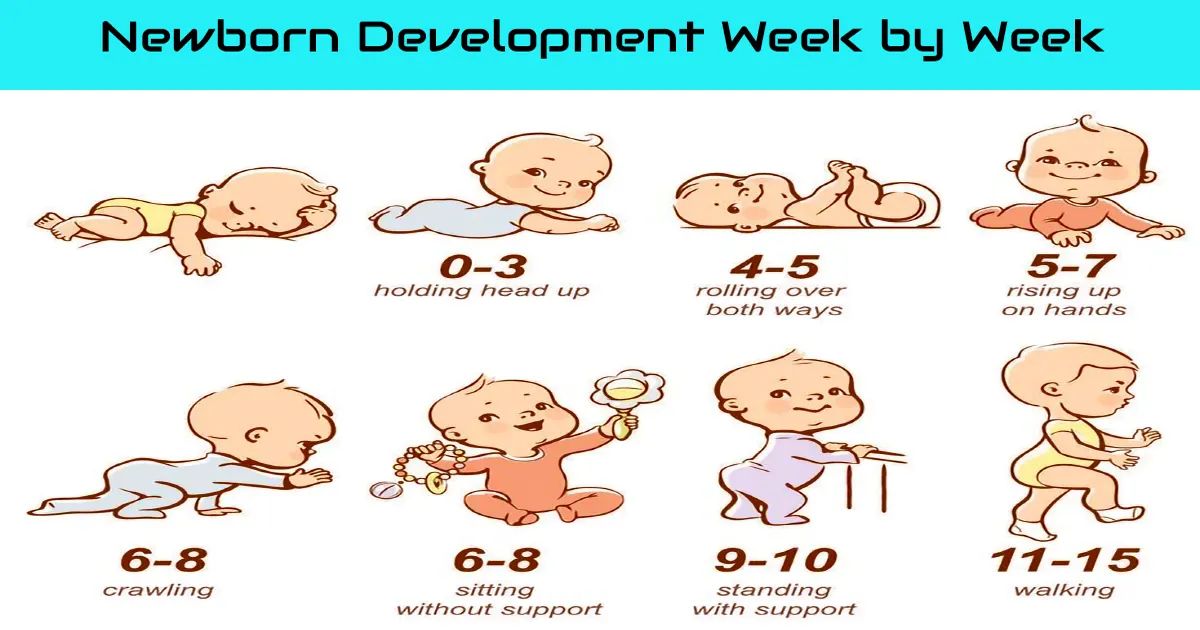 Newborn Development Week by Week: A Comprehensive Guide
