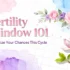 Fertility Window 101: Maximize Your Chances This Cycle